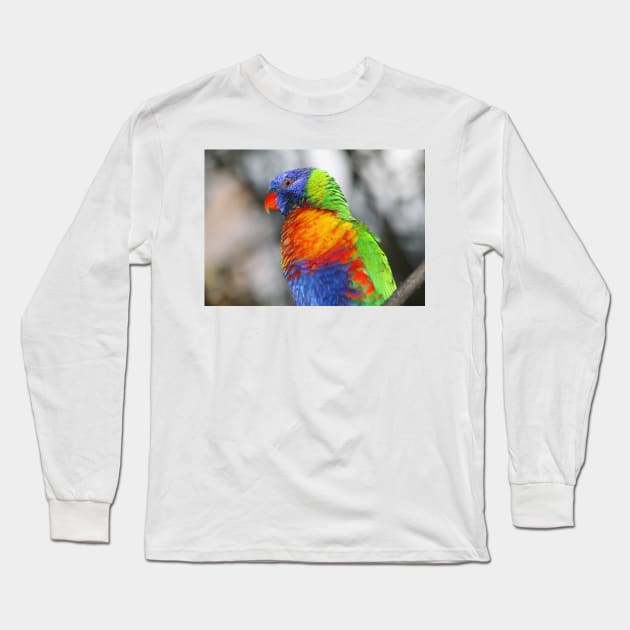 Rainbow Lorikeet Portrait #3 Long Sleeve T-Shirt by Carole-Anne